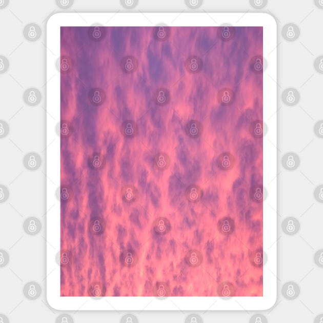 Pink Winter Sky Sticker by EZPAINT